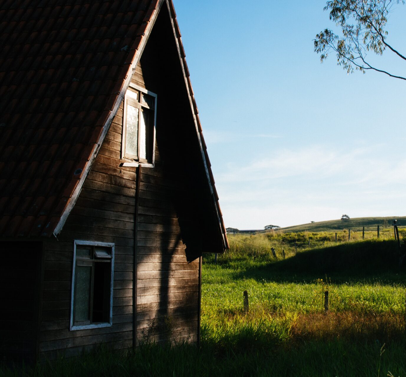 The Therapeutic Benefits Of Gardening - The Art Of 1 Acre