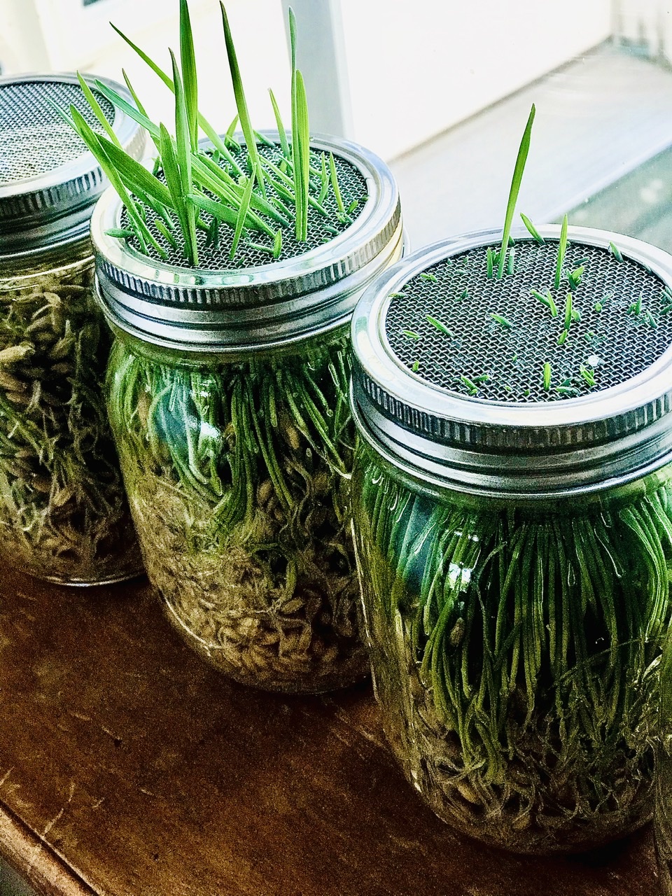 Mason Jar Fodder System