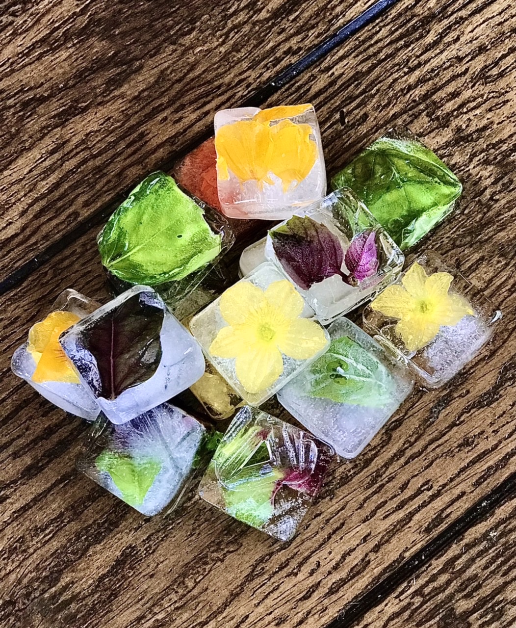 Chicken treats in ice cubes