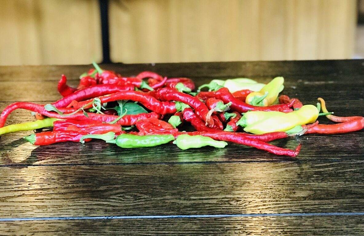 How To Dehydrate Peppers With A Dehydrator - The Art Of 1 Acre