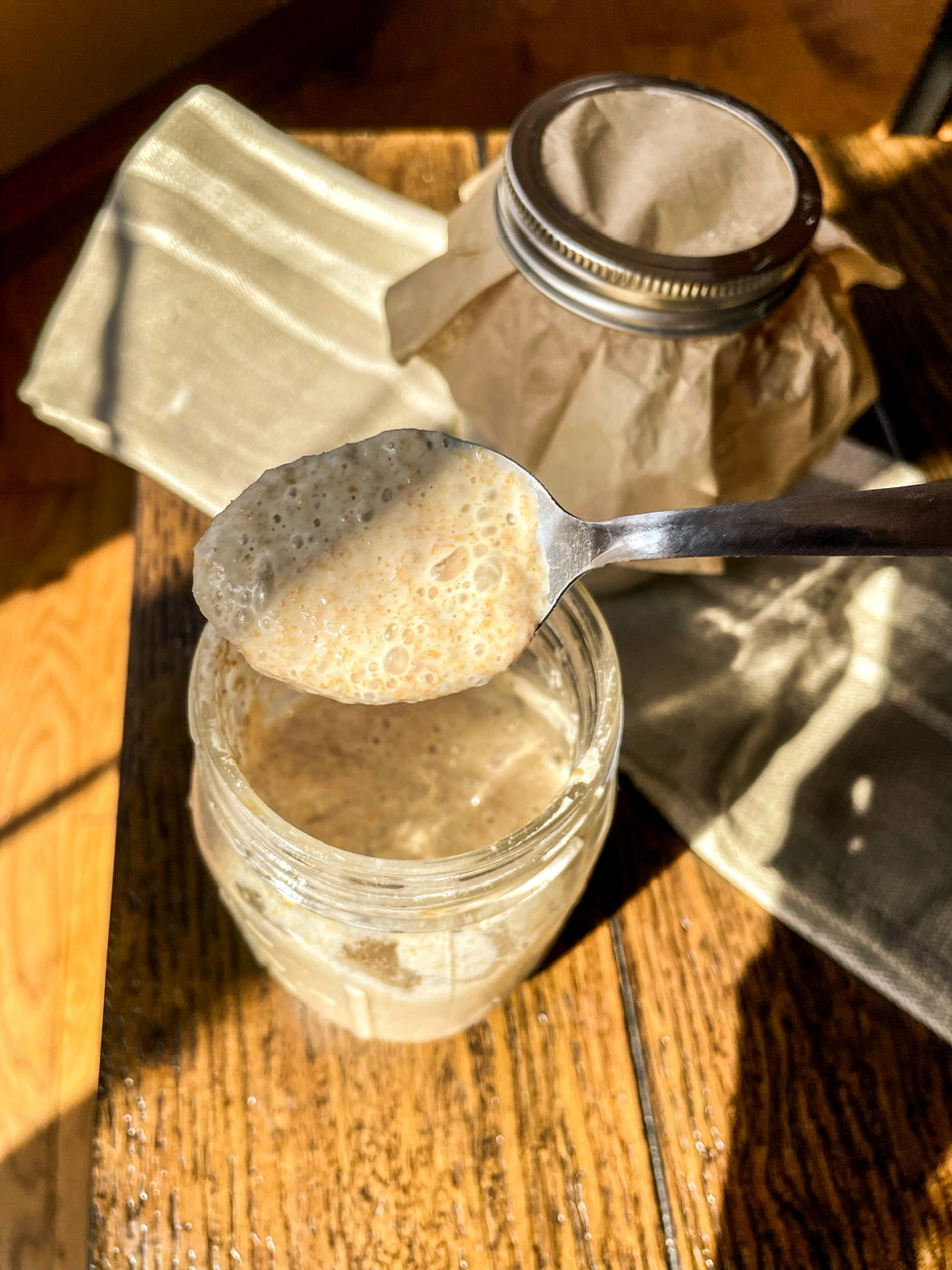 Sourdough starter with bubbles