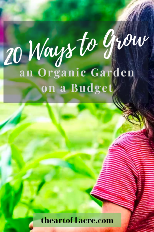 little girl in a garden (pinterest pin)