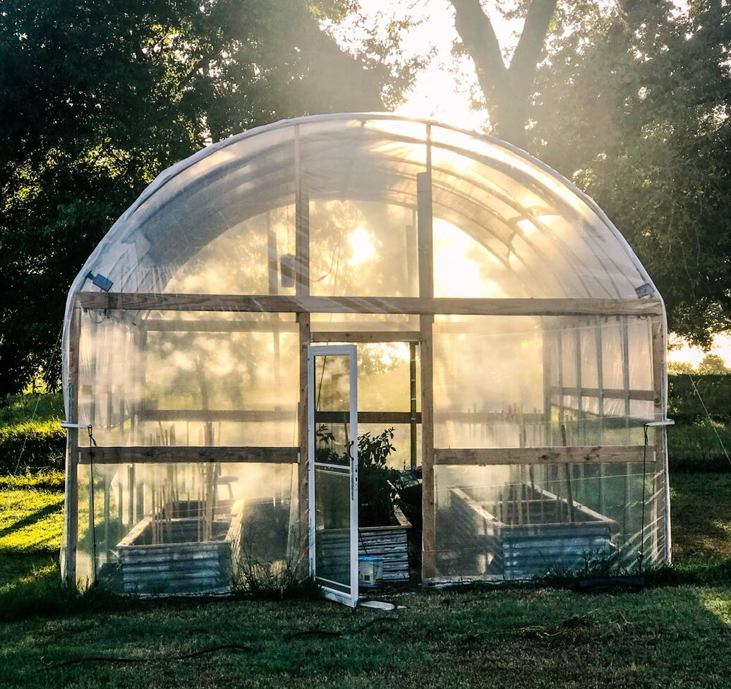 High tunnel in the sun