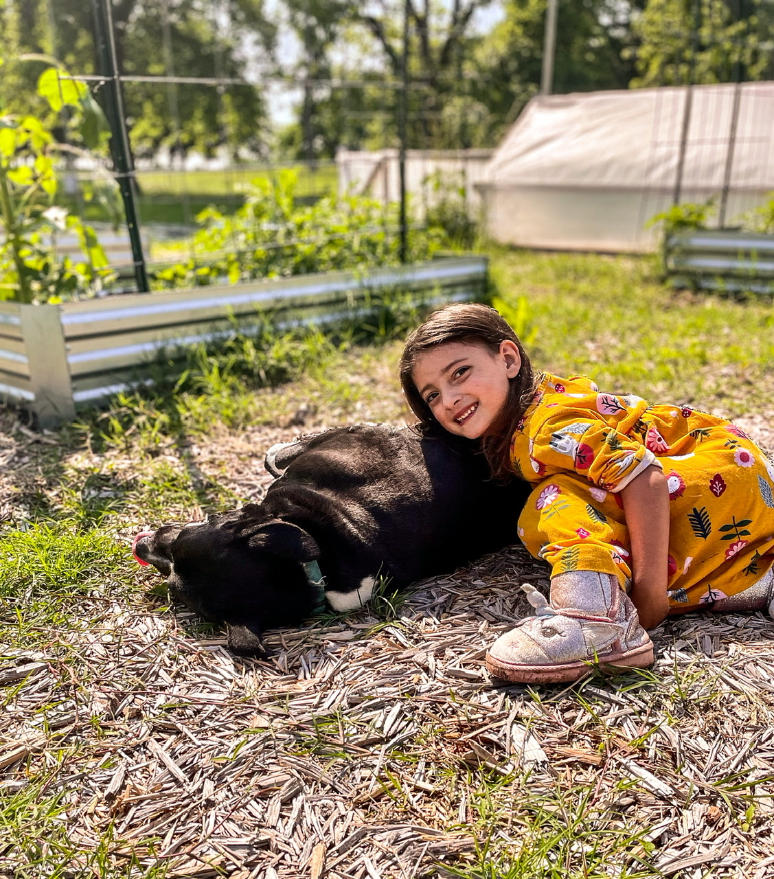 A little girl with a black dog in a garden