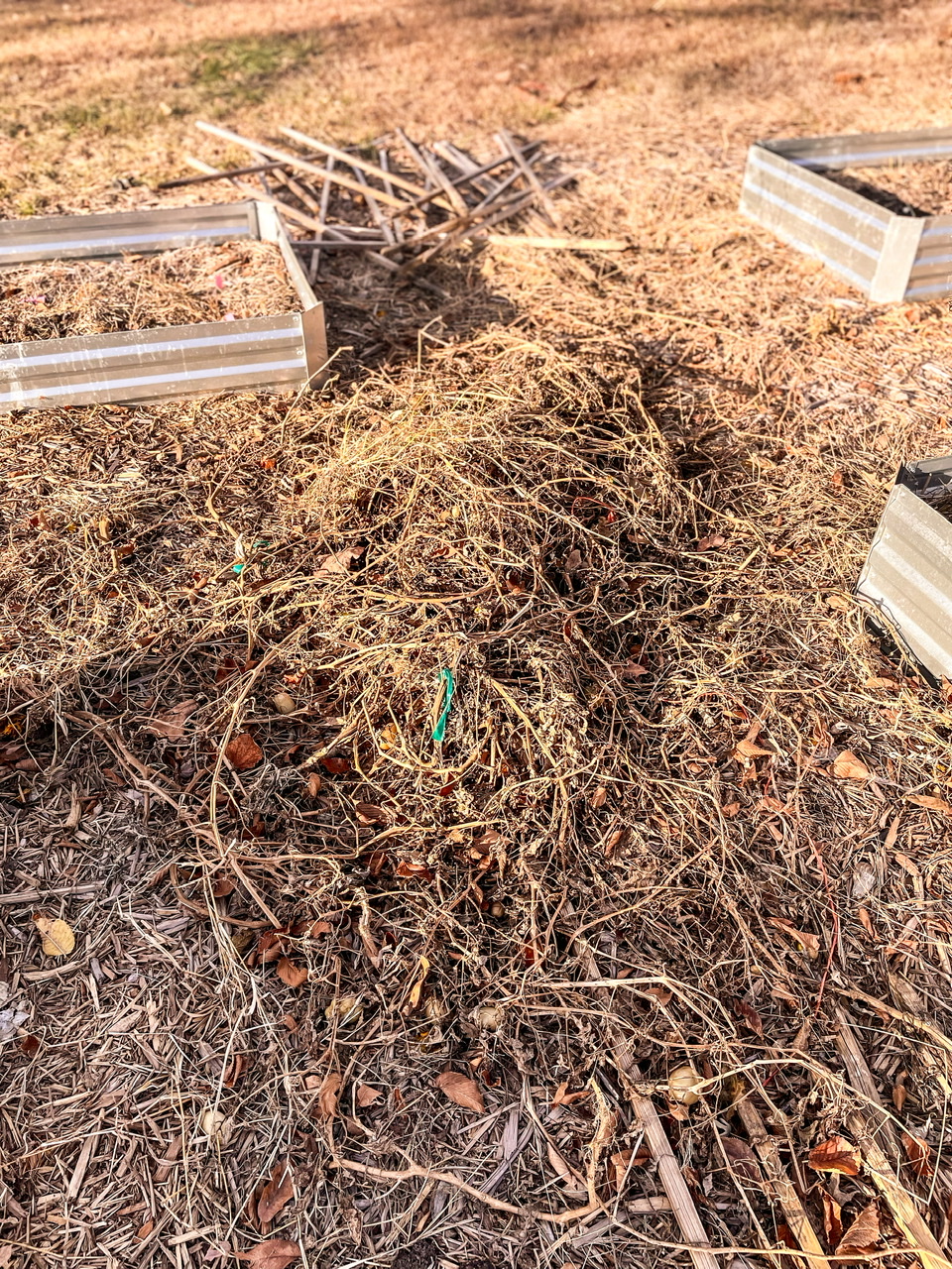 raised beds winter garden prep