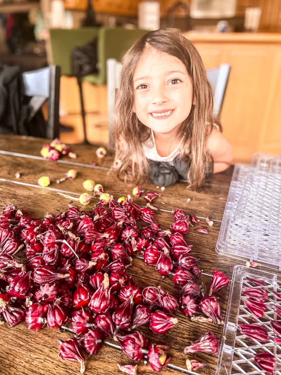 little girl sitting at a table with a pile of roselle calyces
