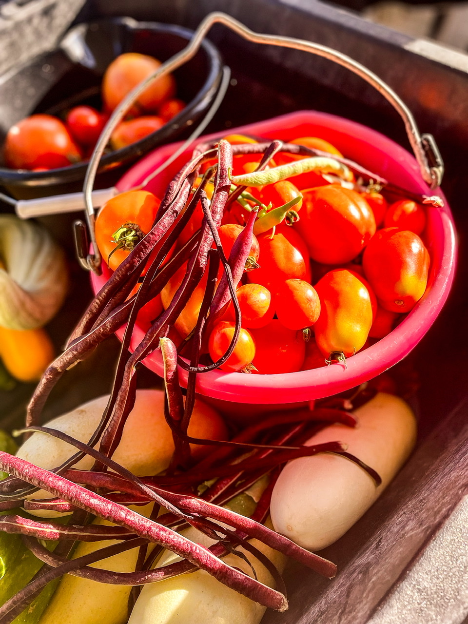 Wagon full of seasonal produce