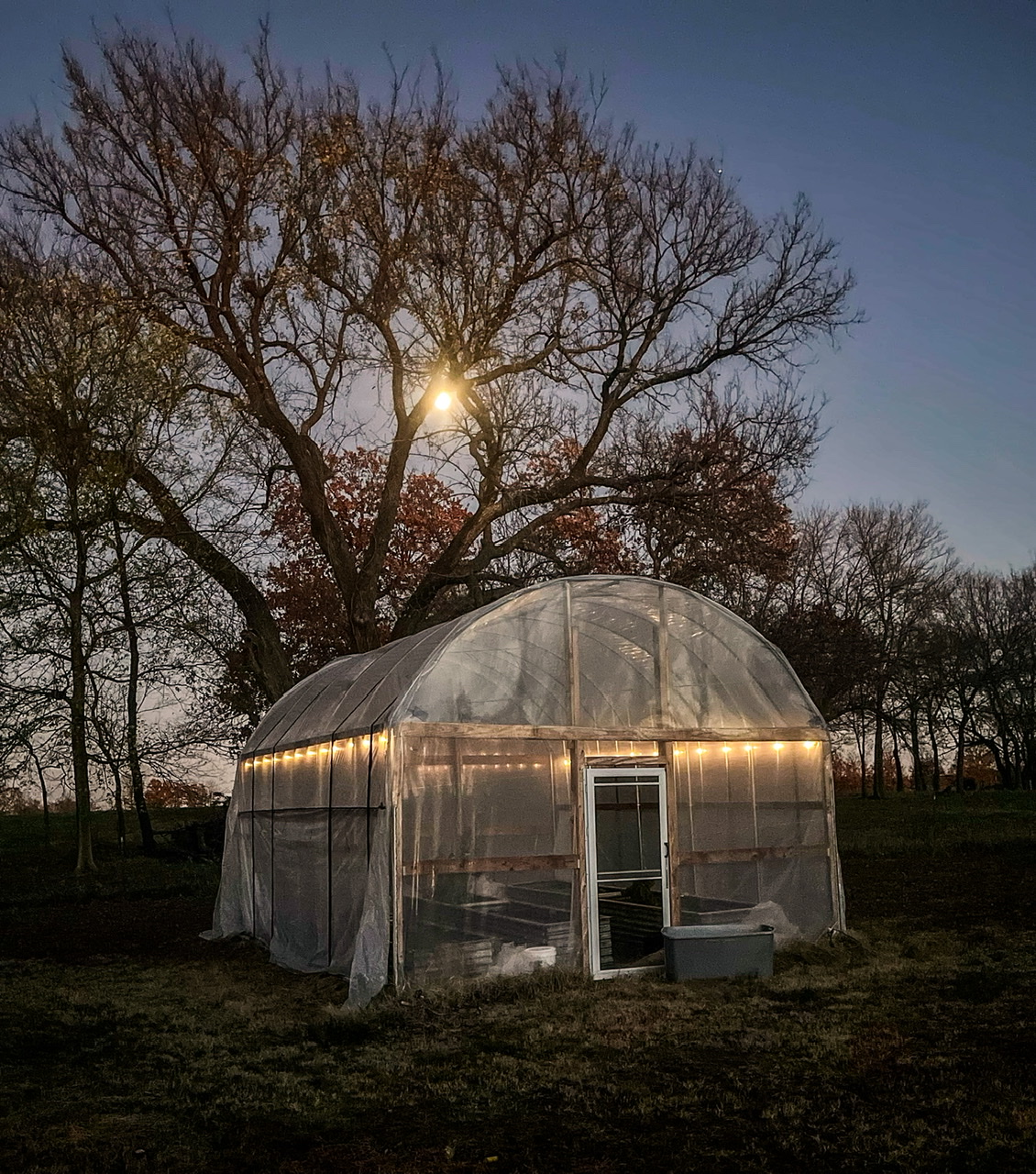 High Tunnel at sunset