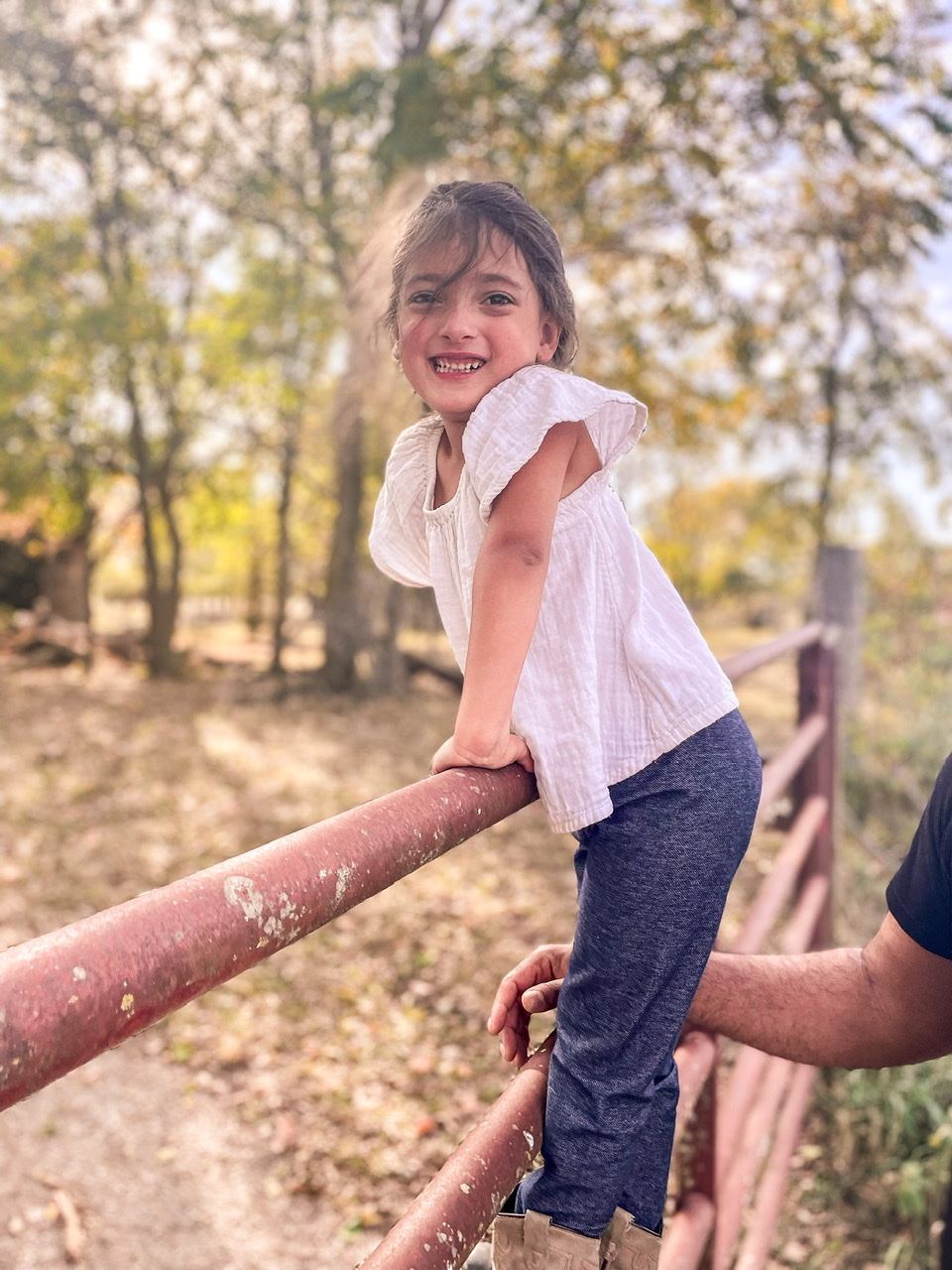 Little girl on a gate