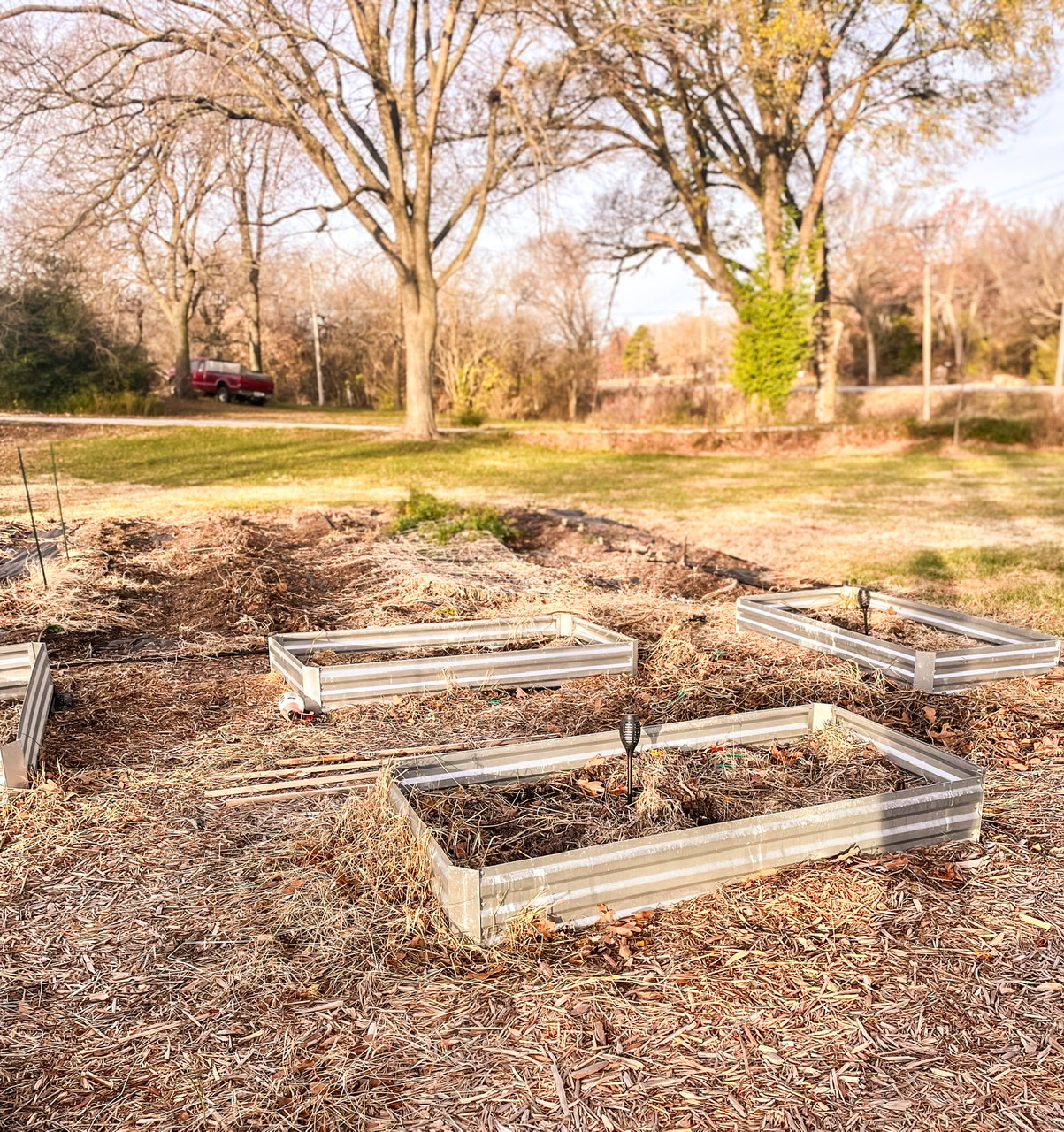 Empty garden beds in the fall
