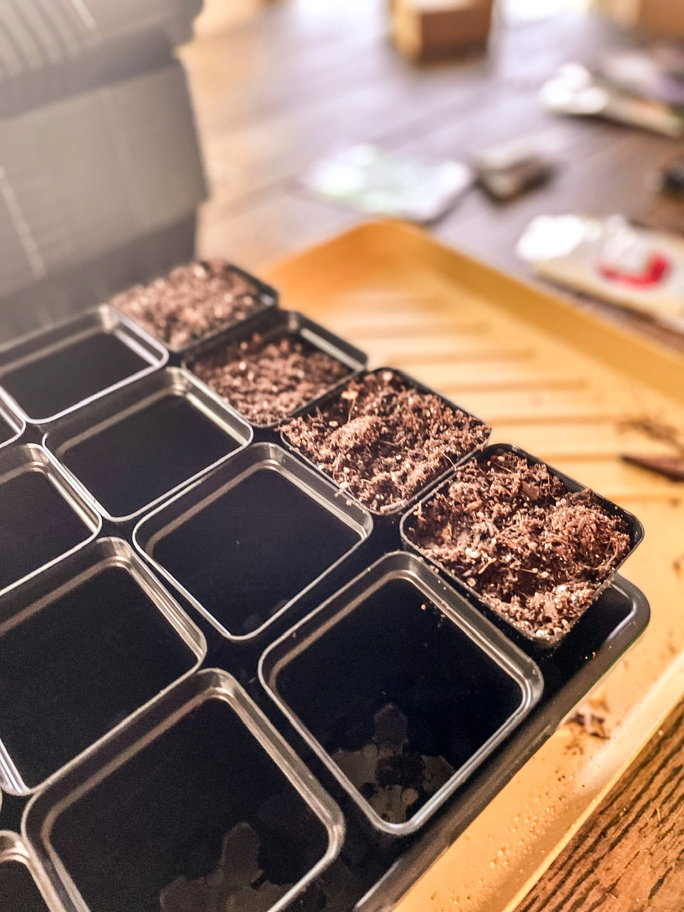 Potting trays with potting soil to start seeds indoors