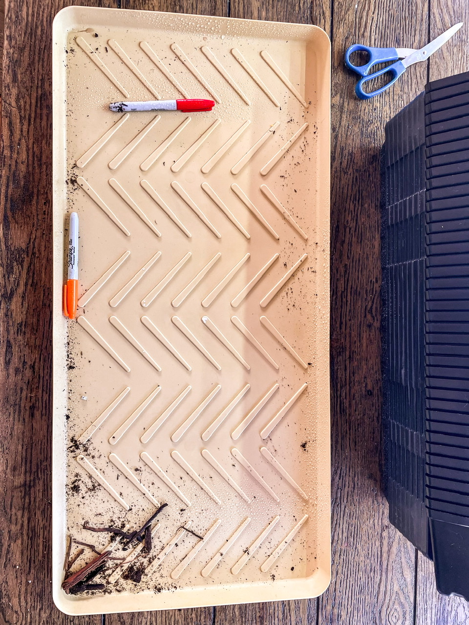 Boot tray for starting seeds indoors