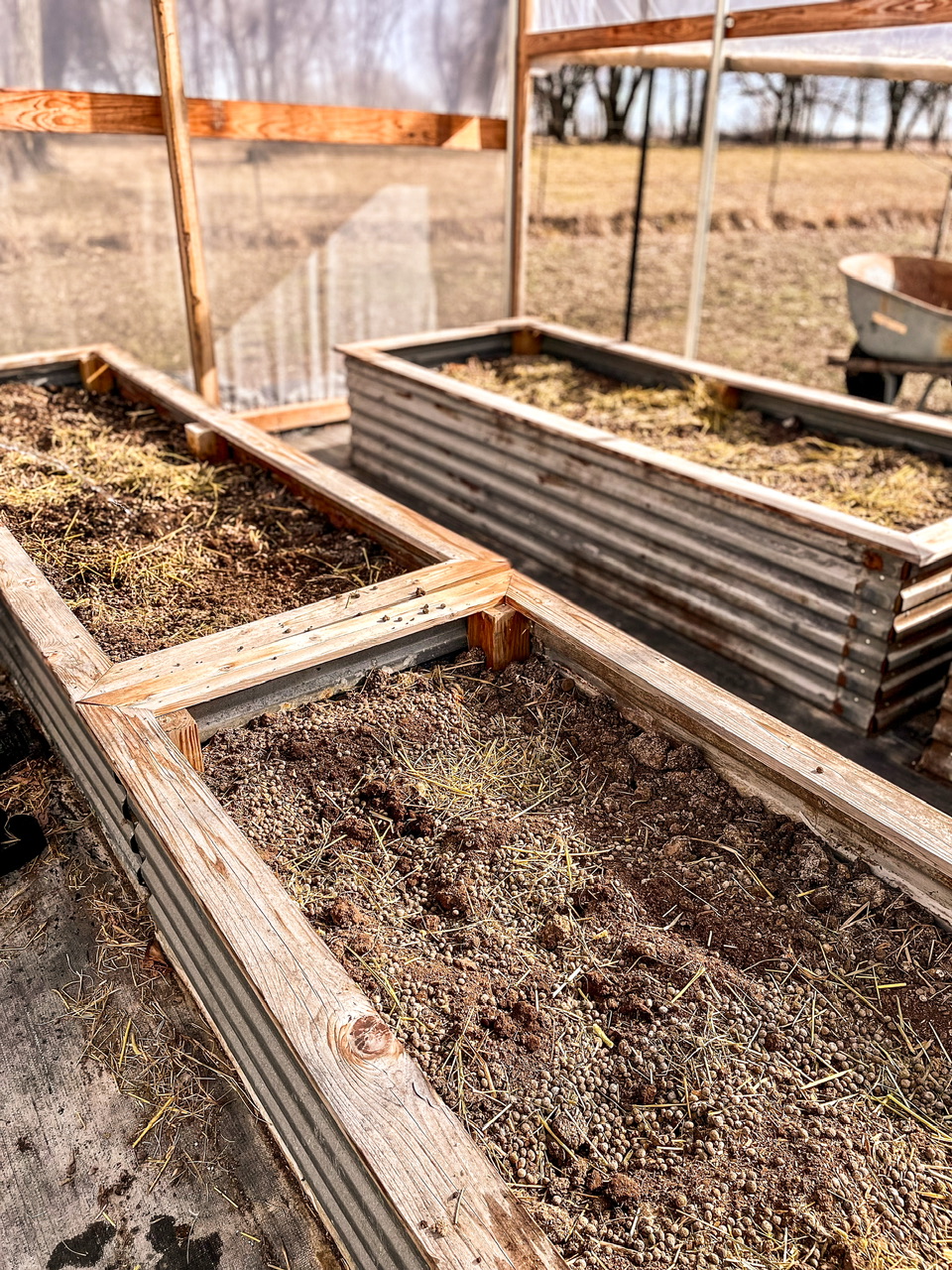 Garden beds in a high tunnel
