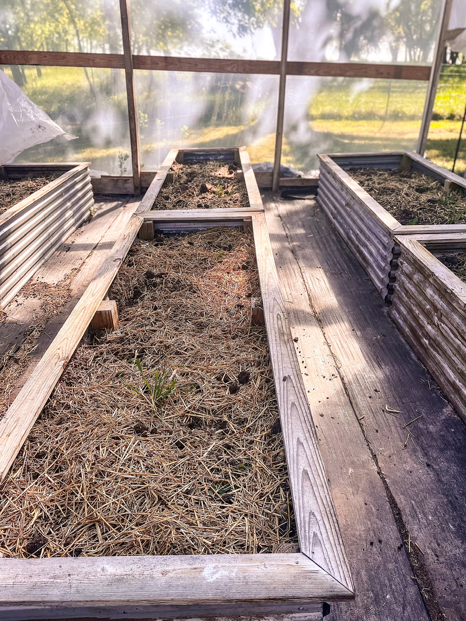 Beds in a high tunnel