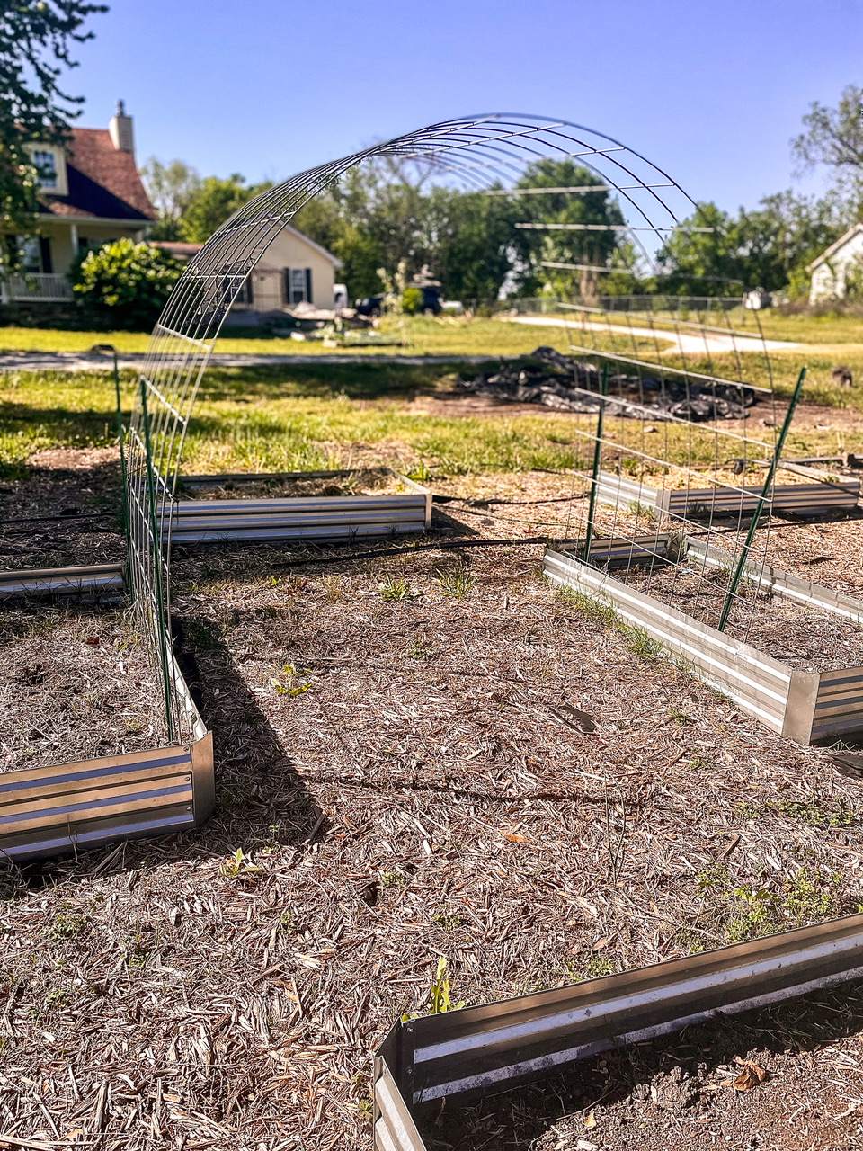 garden beds with house inn the background