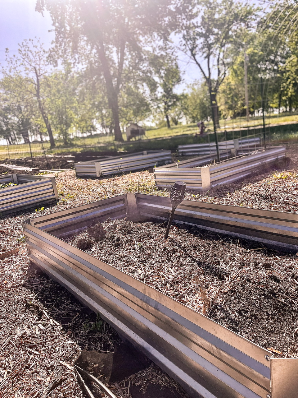 garden beds with house inn the bakground