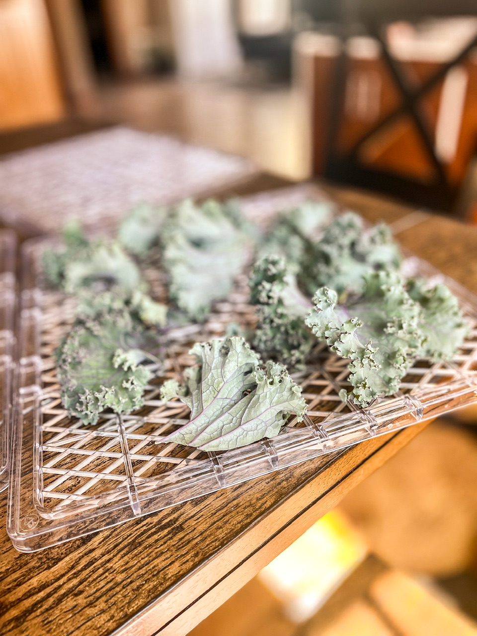 dehydrating kale