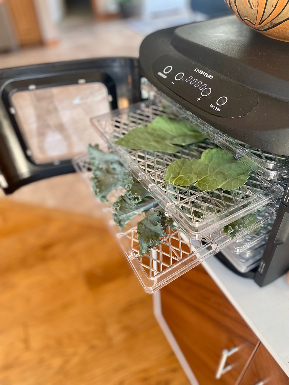 Kale in a dehydrator